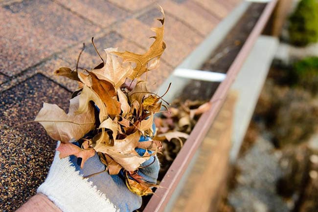 Gutter Cleaning in Curry Rivel