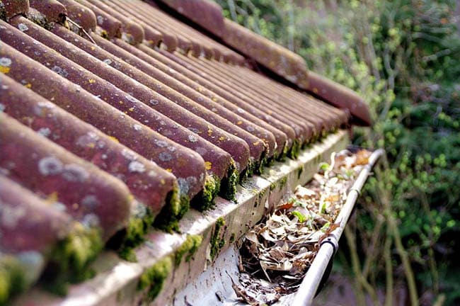 Gutter Cleaning in Nether Stowey