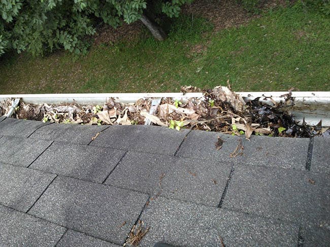 Blocked Gutters in Kenton