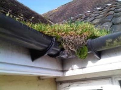 Blocked Gutters in Churchill